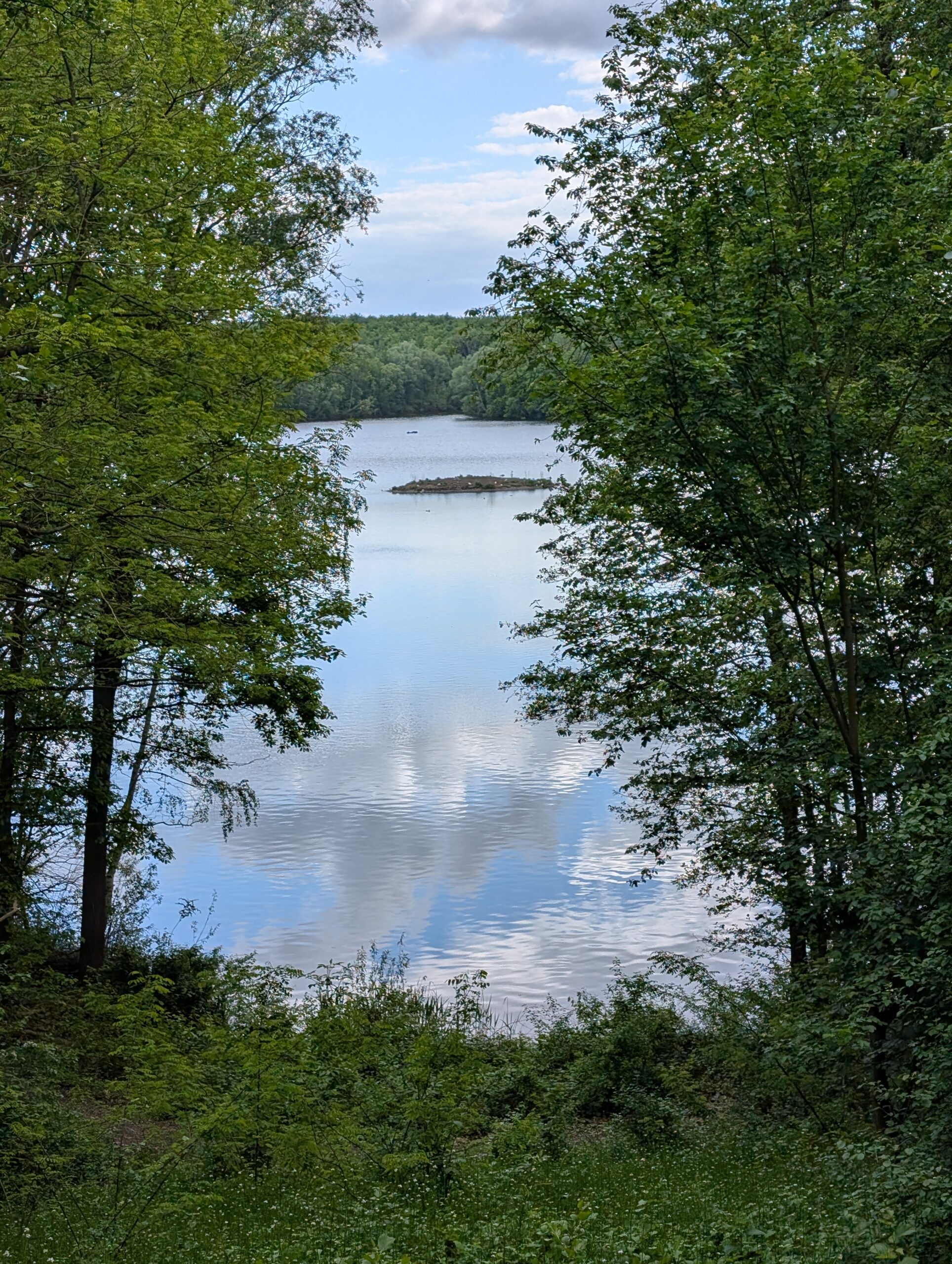 Große Runde durch die Ville Wälder und um den Heider Bergsee