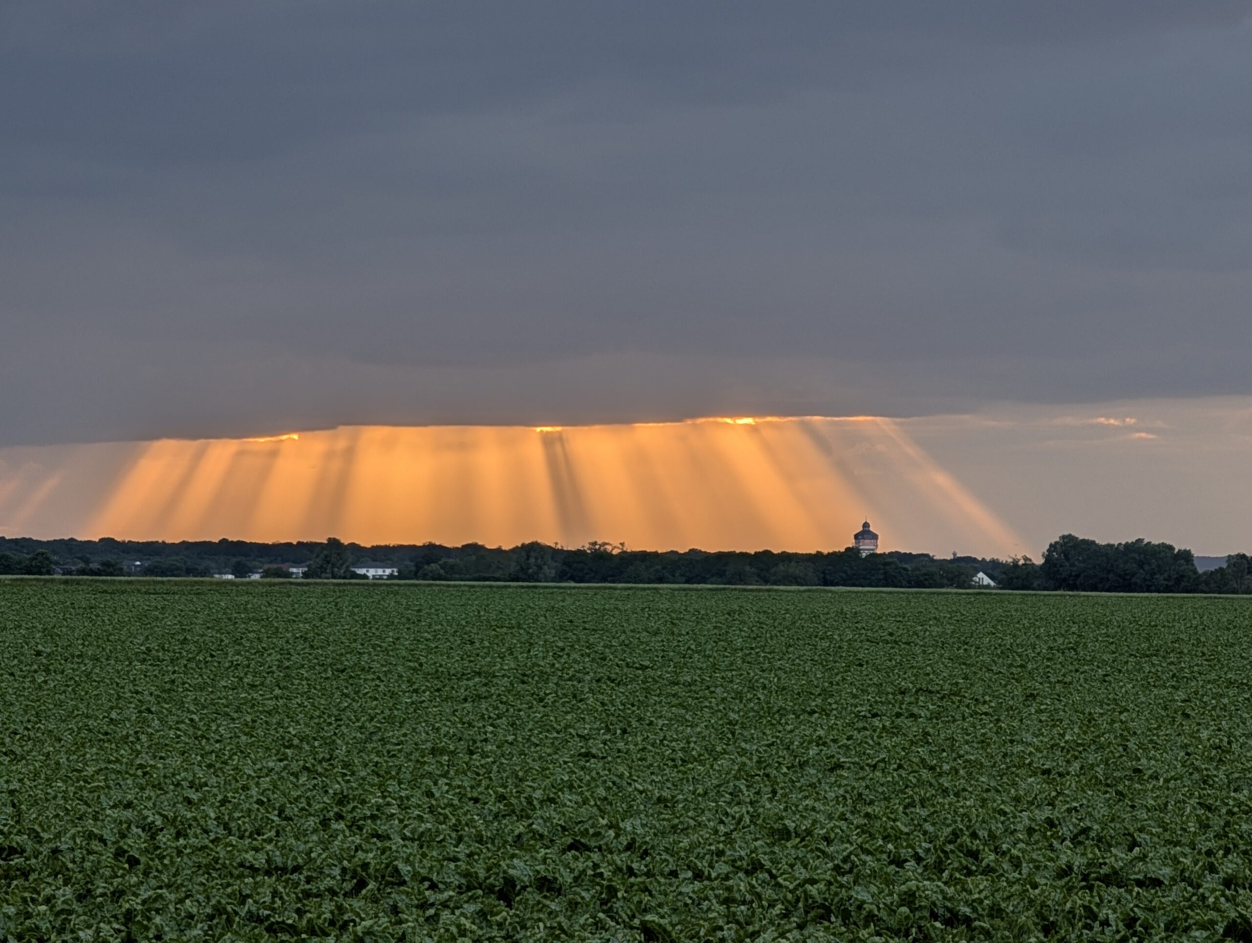 Eindrücke der letzten Spaziergänge und Radtouren