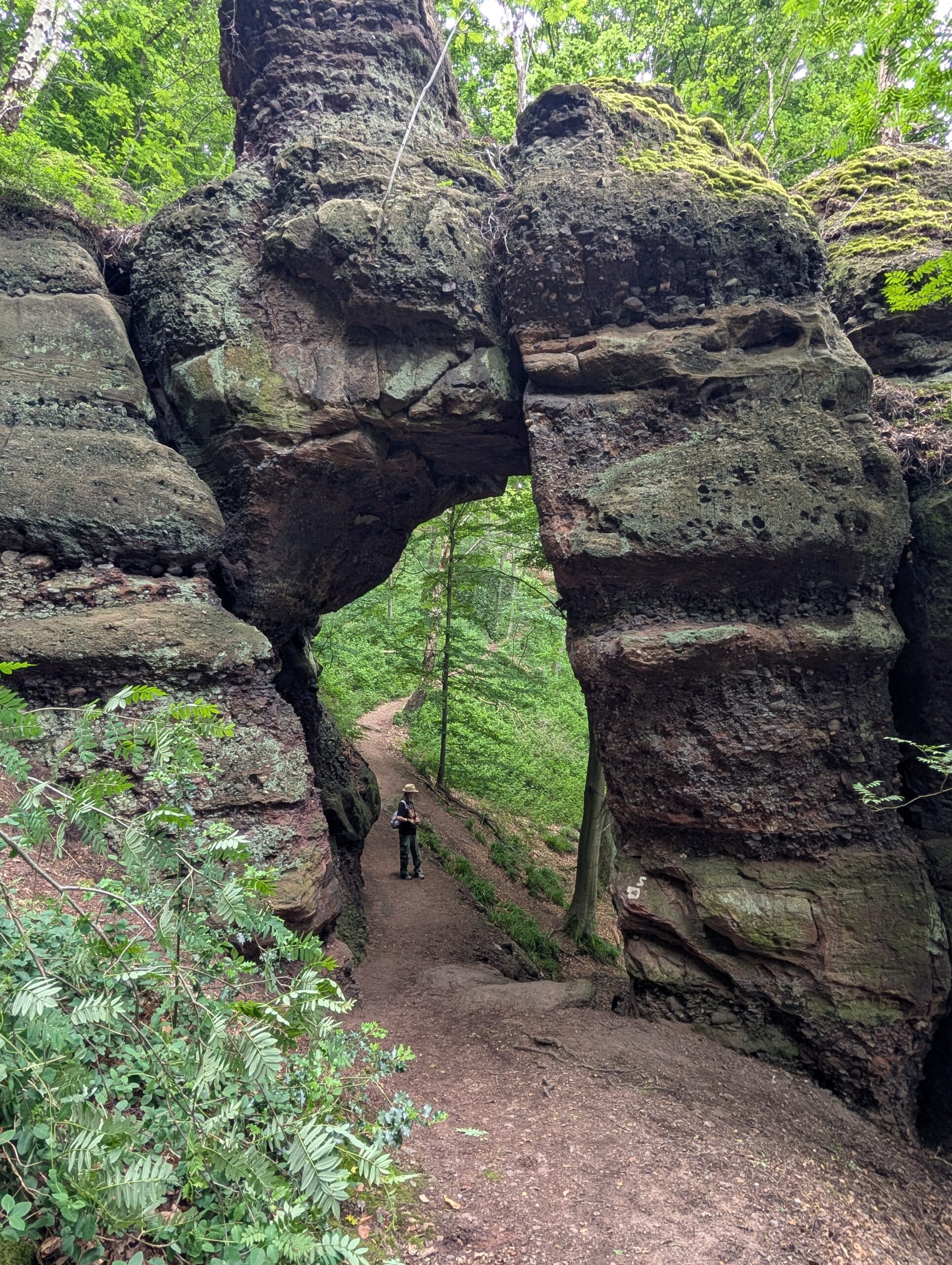 Wanderung bei Nideggen
