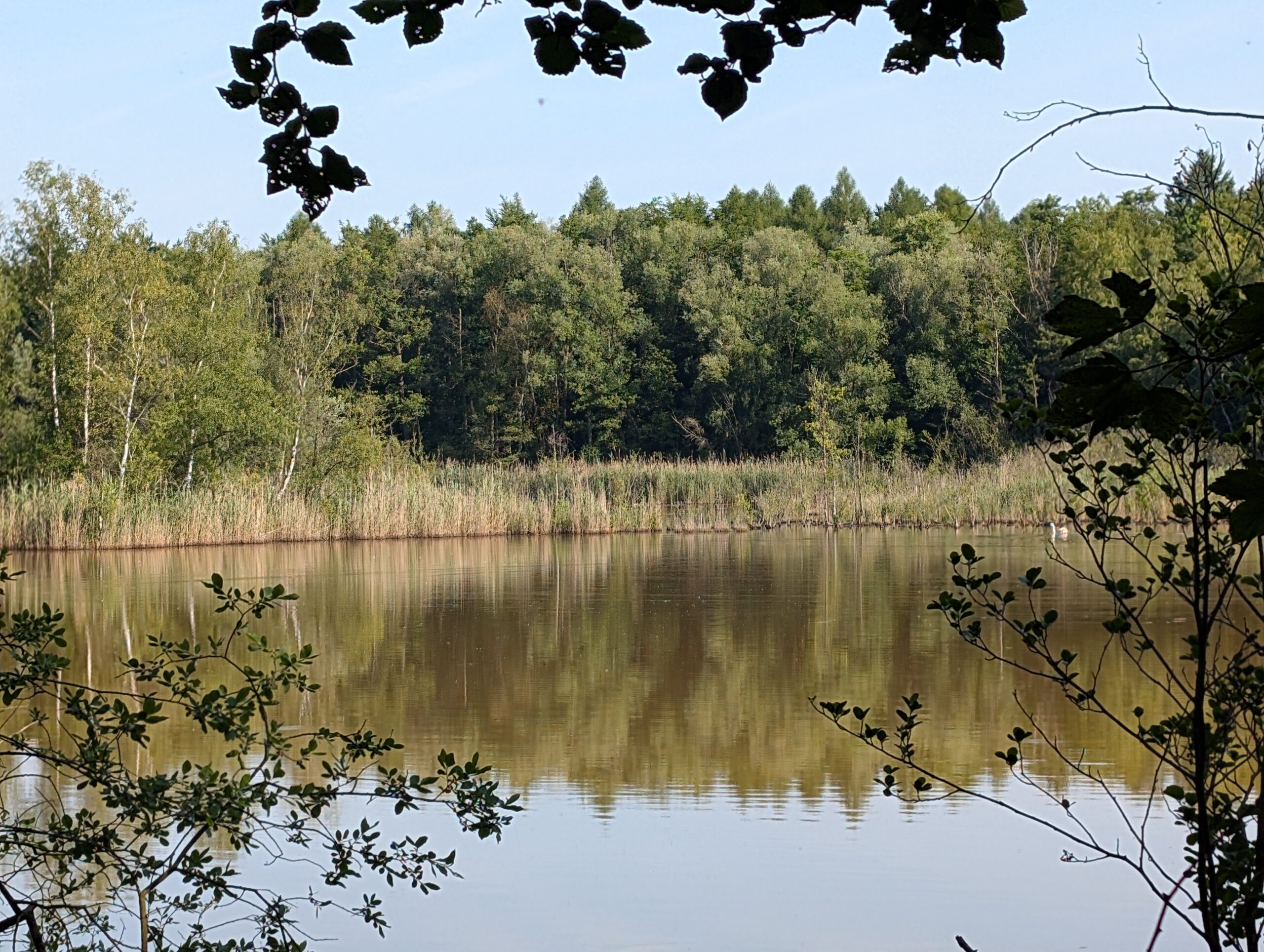 Morgenwanderung durch die Ville