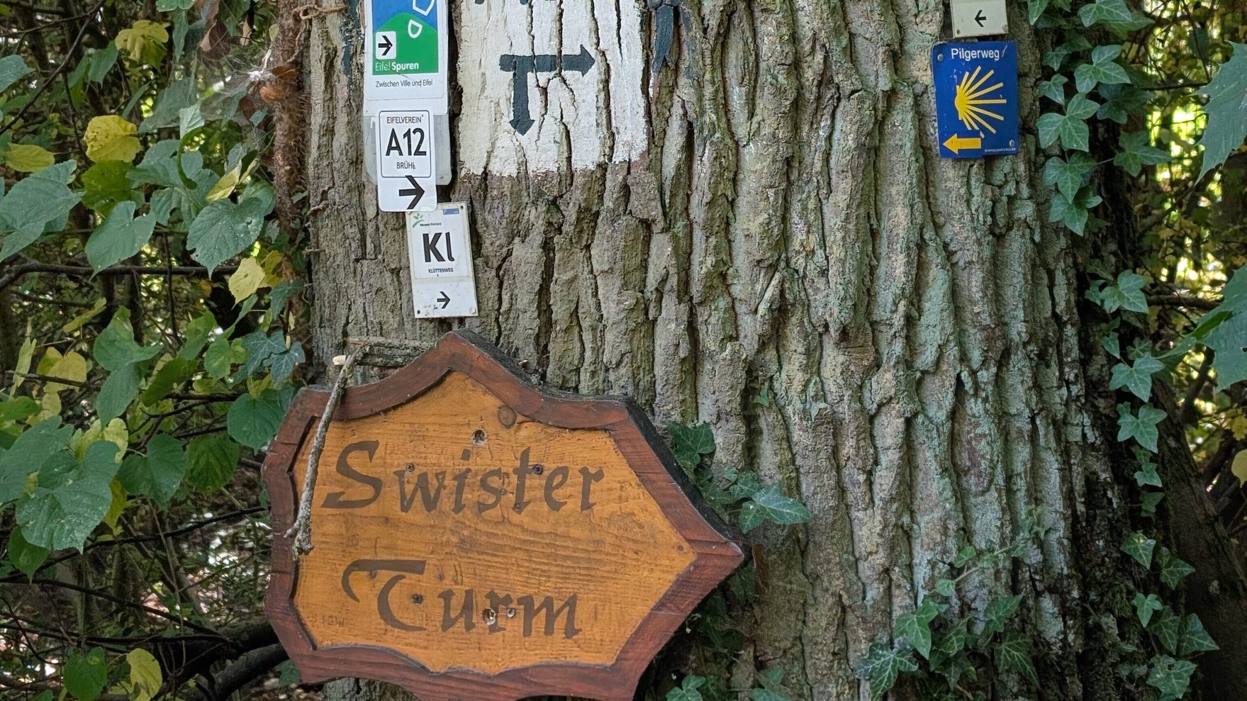 Runde bei Weilerswist