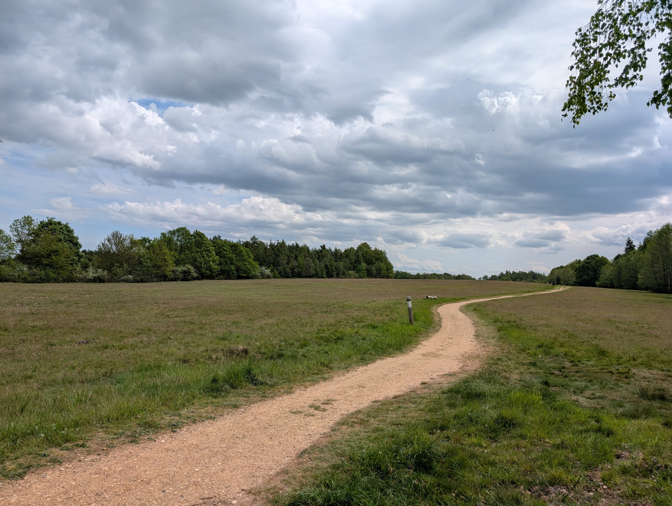 Drover Heide